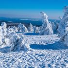 Winterlandschaft auf dem Brocken