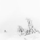 Winterlandschaft auf dem Brocken gestern