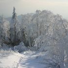 Winterlandschaft auf dem Hochblauen im Schwarzwald