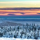 Winterlandschaft auf dem Kahlen Asten (Winterberg)