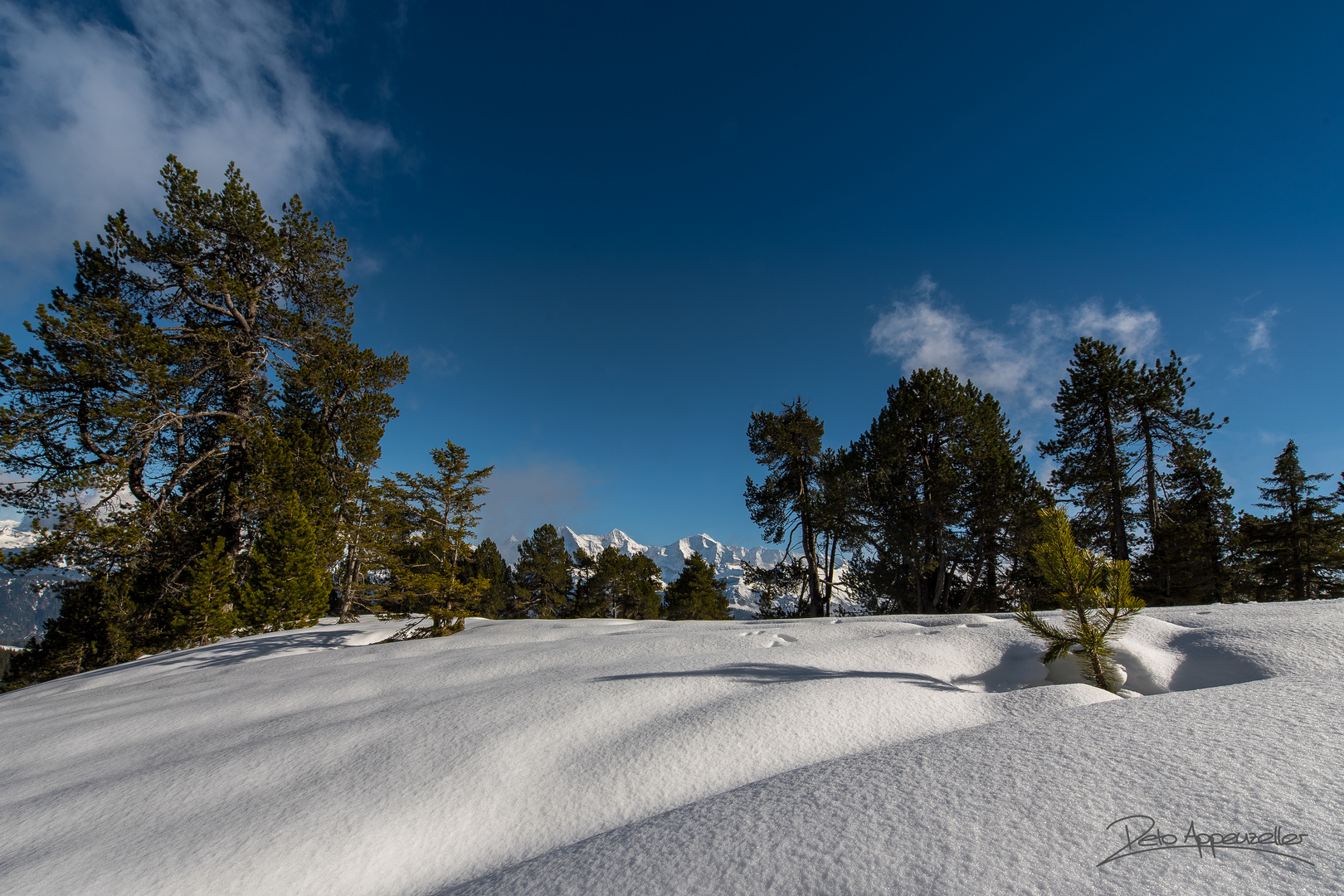 Winterlandschaft auf dem Niederhorn