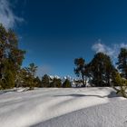 Winterlandschaft auf dem Niederhorn