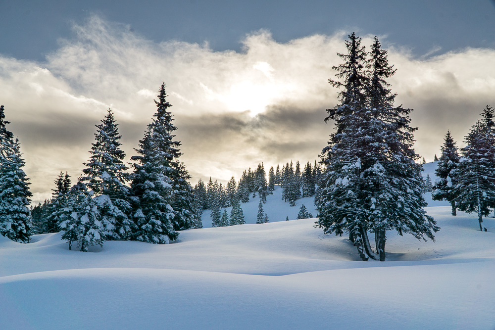 Winterlandschaft auf dem Ochsenälpelskopf