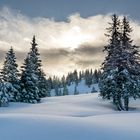 Winterlandschaft auf dem Ochsenälpelskopf