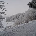 Winterlandschaft auf den Pöhlberg