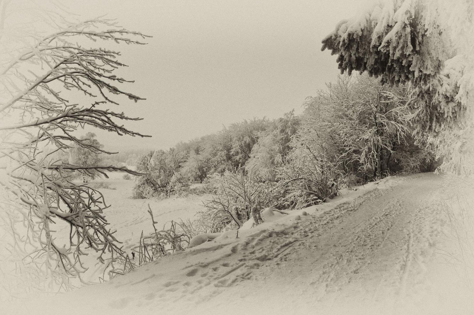 Winterlandschaft auf den Pöhlberg mal anders bearbeitet.