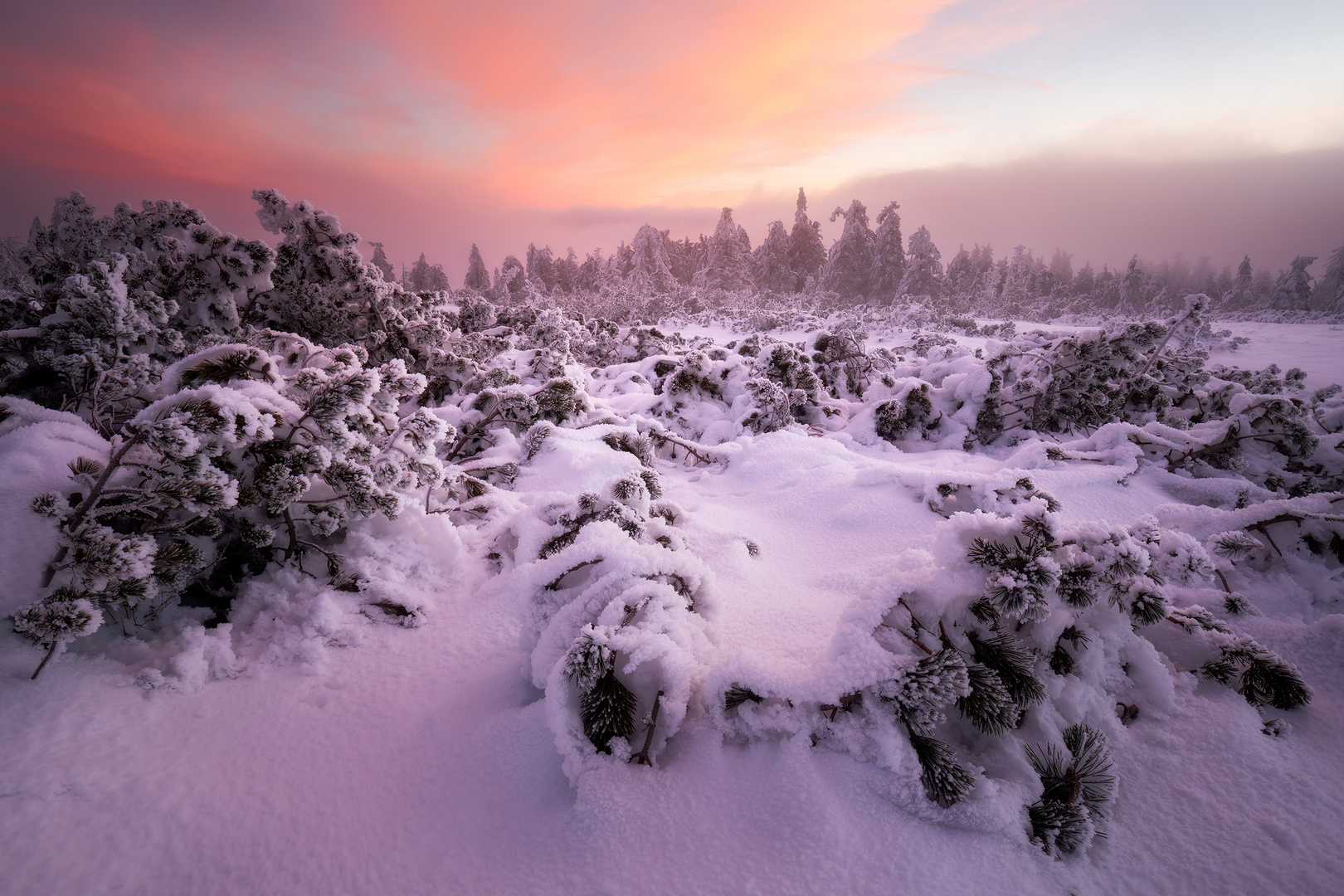 Winterlandschaft auf der Hornisgrinde