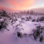 Winterlandschaft auf der Hornisgrinde