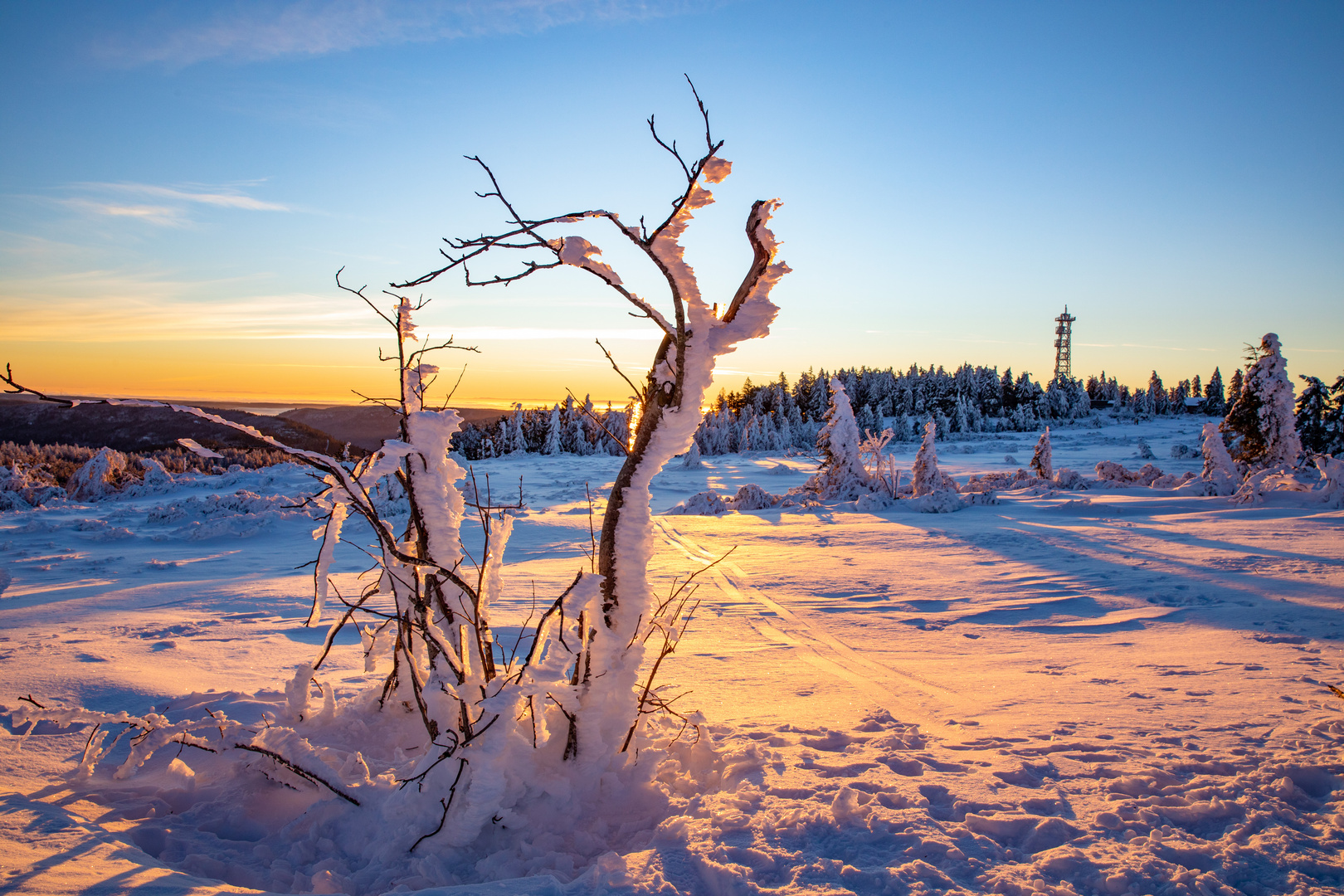 Winterlandschaft auf der Hornisgrinde