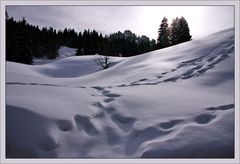 Winterlandschaft auf der Ibergeregg