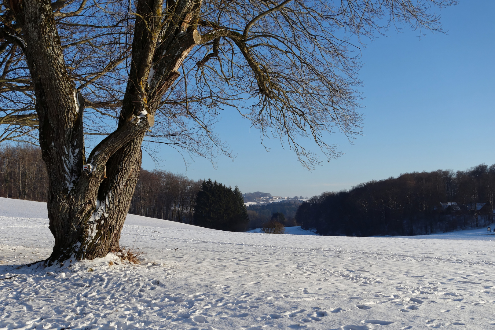 Winterlandschaft auf der "Schwäbischen Alb"