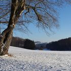 Winterlandschaft auf der "Schwäbischen Alb"