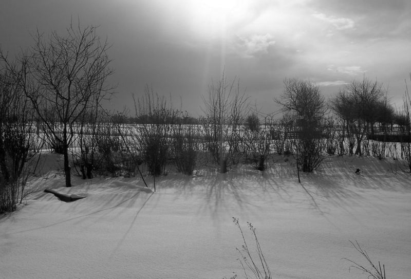 Winterlandschaft auf Eiderstedt