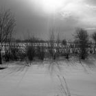 Winterlandschaft auf Eiderstedt