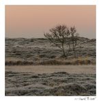 Winterlandschaft auf Texel