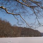 Winterlandschaft