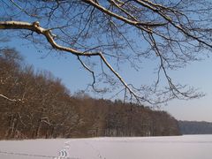 Winterlandschaft