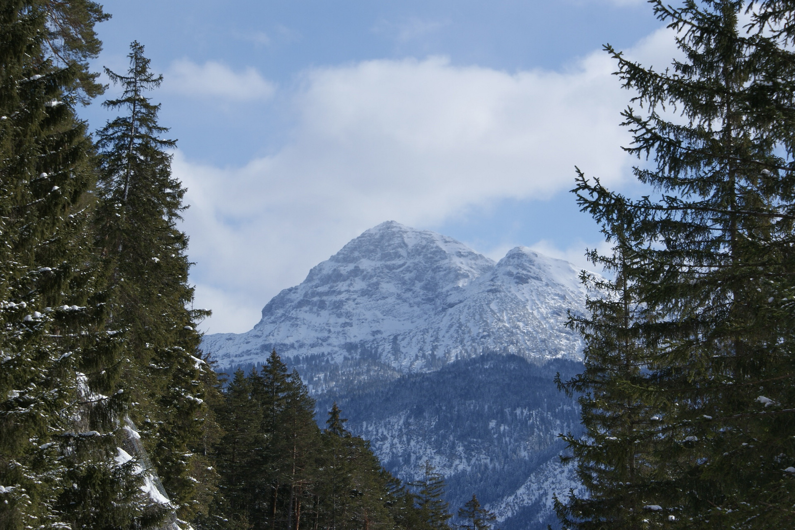 WINTERLANDSCHAFT