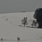 winterlandschaft