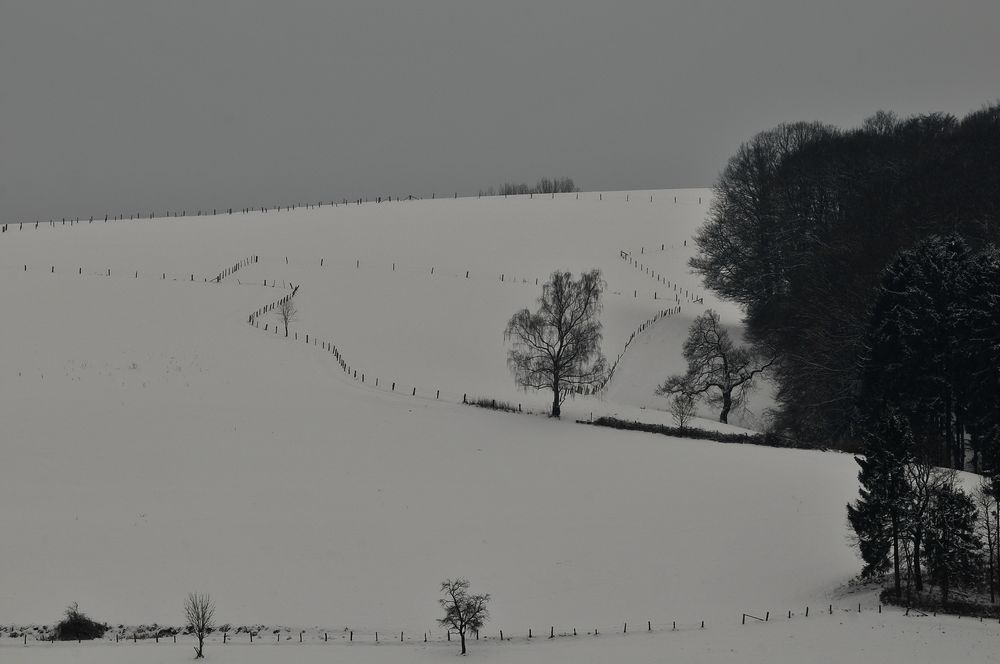 winterlandschaft