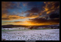 Winterlandschaft