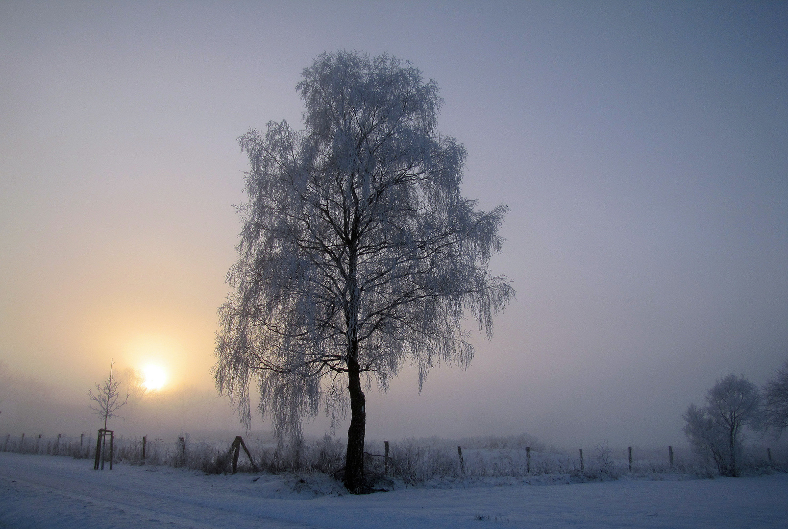 Winterlandschaft