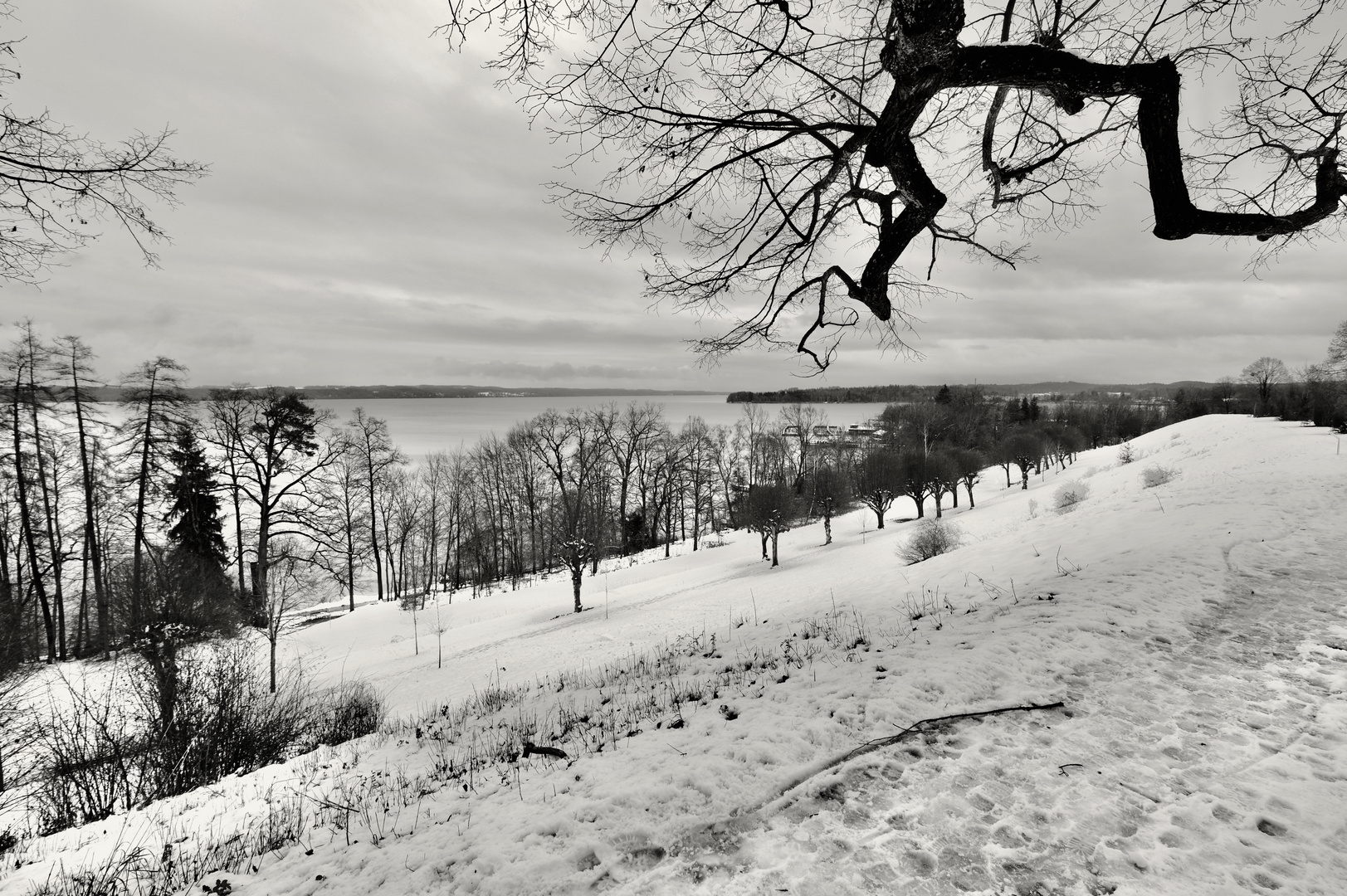 Winterlandschaft