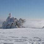 Winterlandschaft