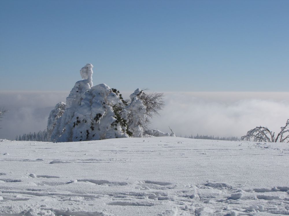 Winterlandschaft