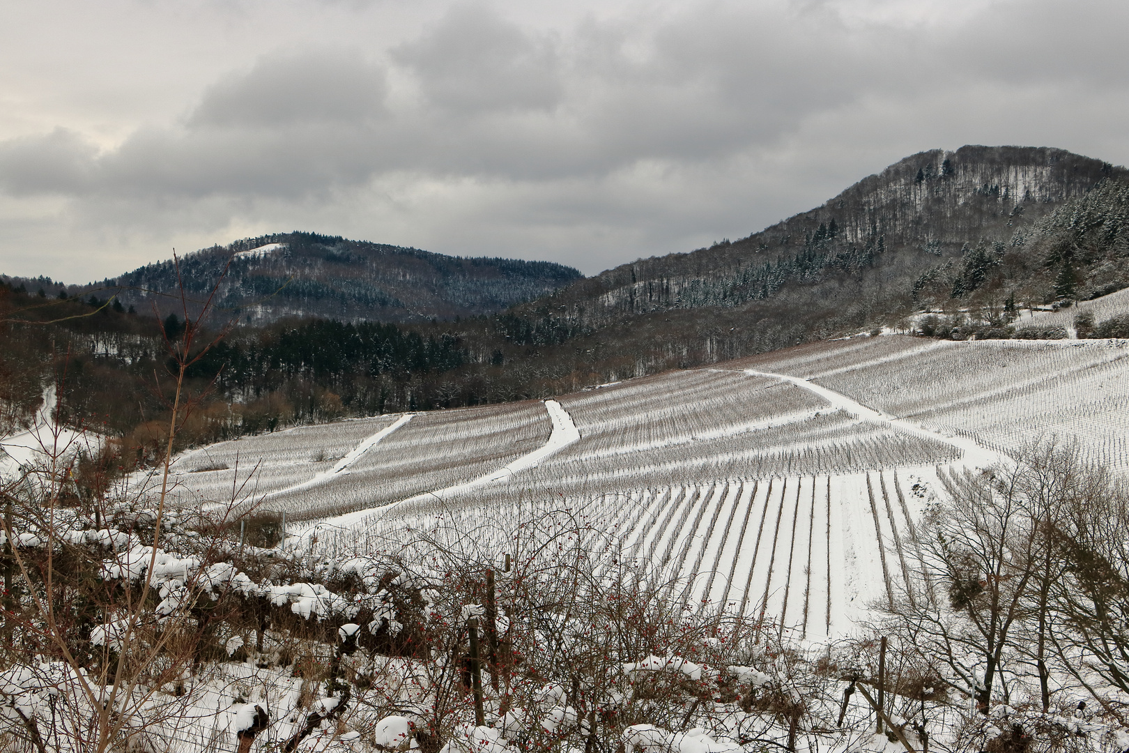 Winterlandschaft