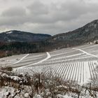 Winterlandschaft