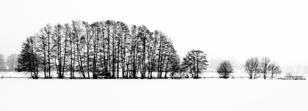 Winterlandschaft