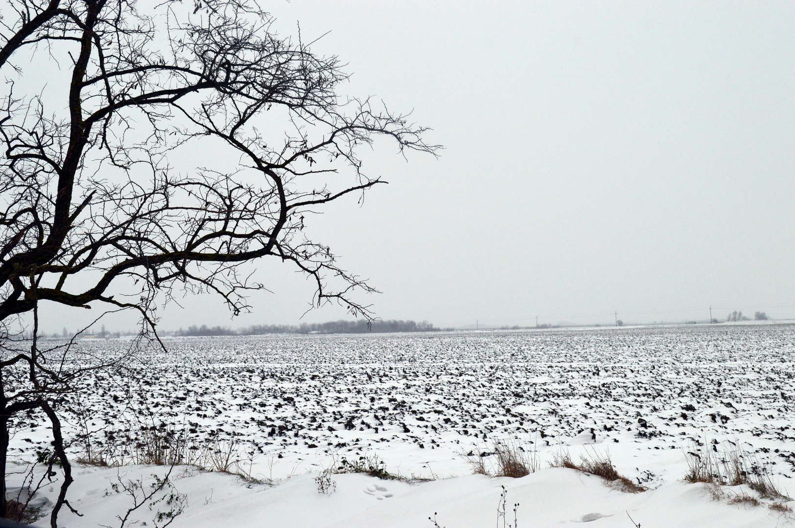 Winterlandschaft