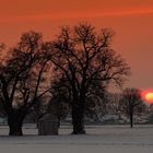 Winterlandschaft