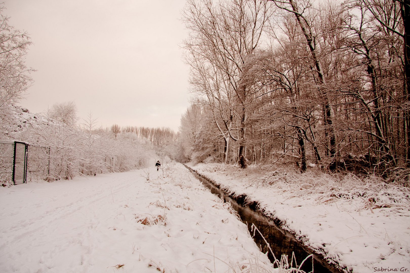 Winterlandschaft