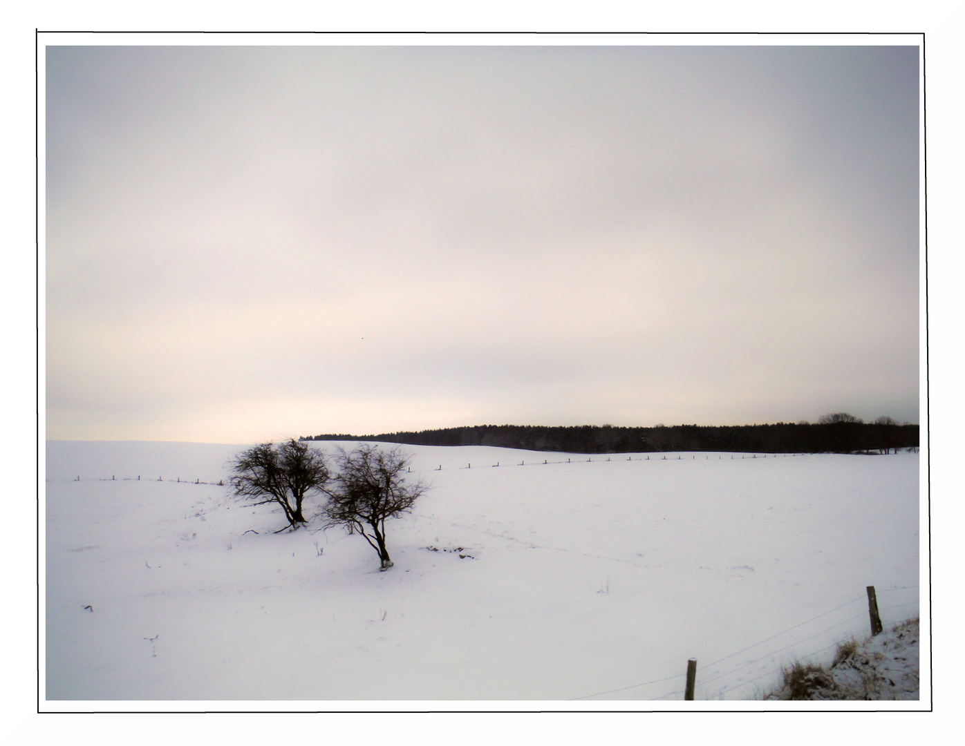 winterlandschaft