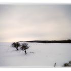 winterlandschaft