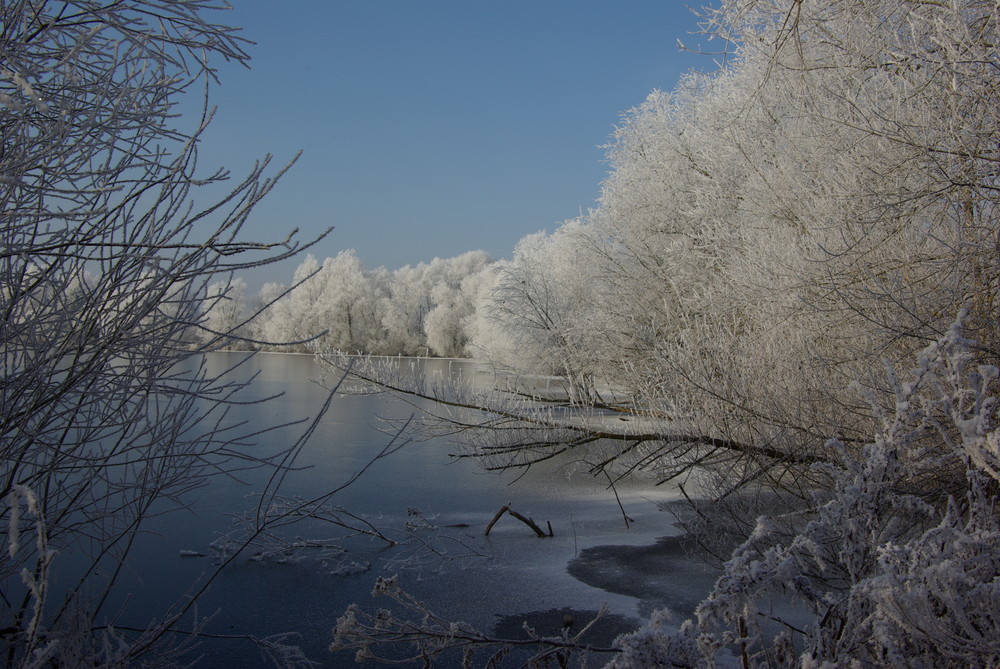 Winterlandschaft