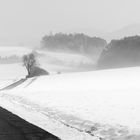 Winterlandschaft