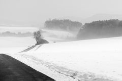 Winterlandschaft