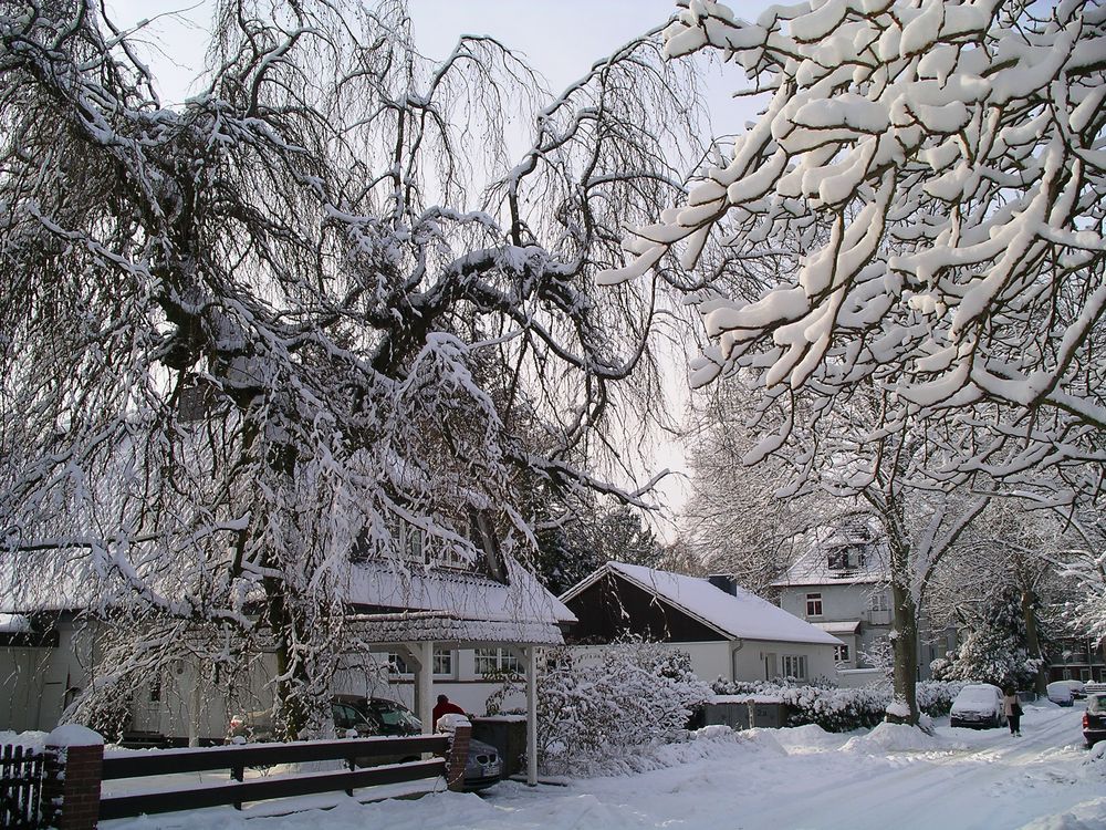 Winterlandschaft