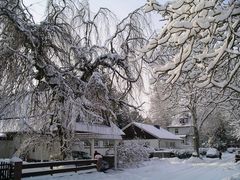 Winterlandschaft