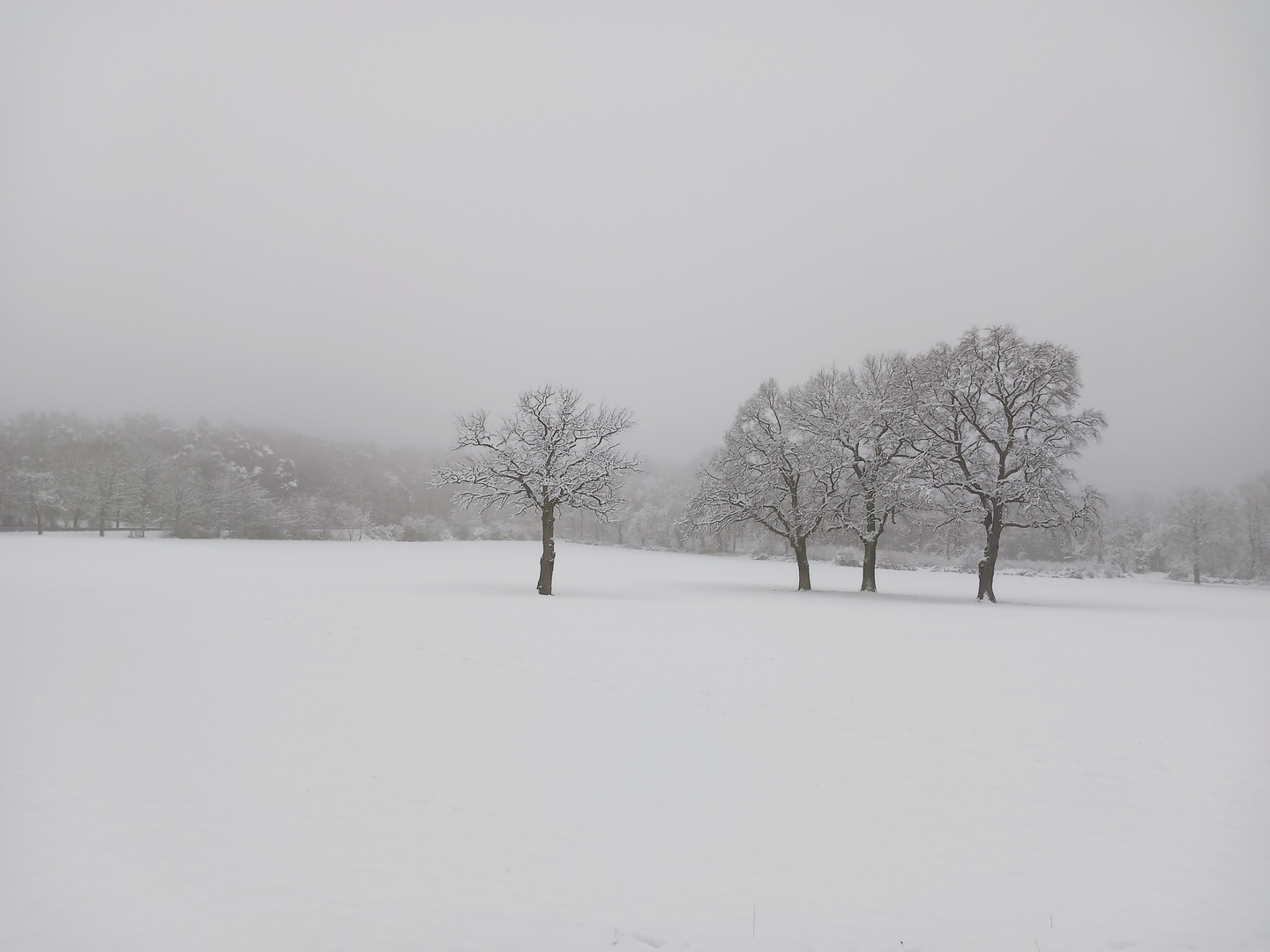 Winterlandschaft