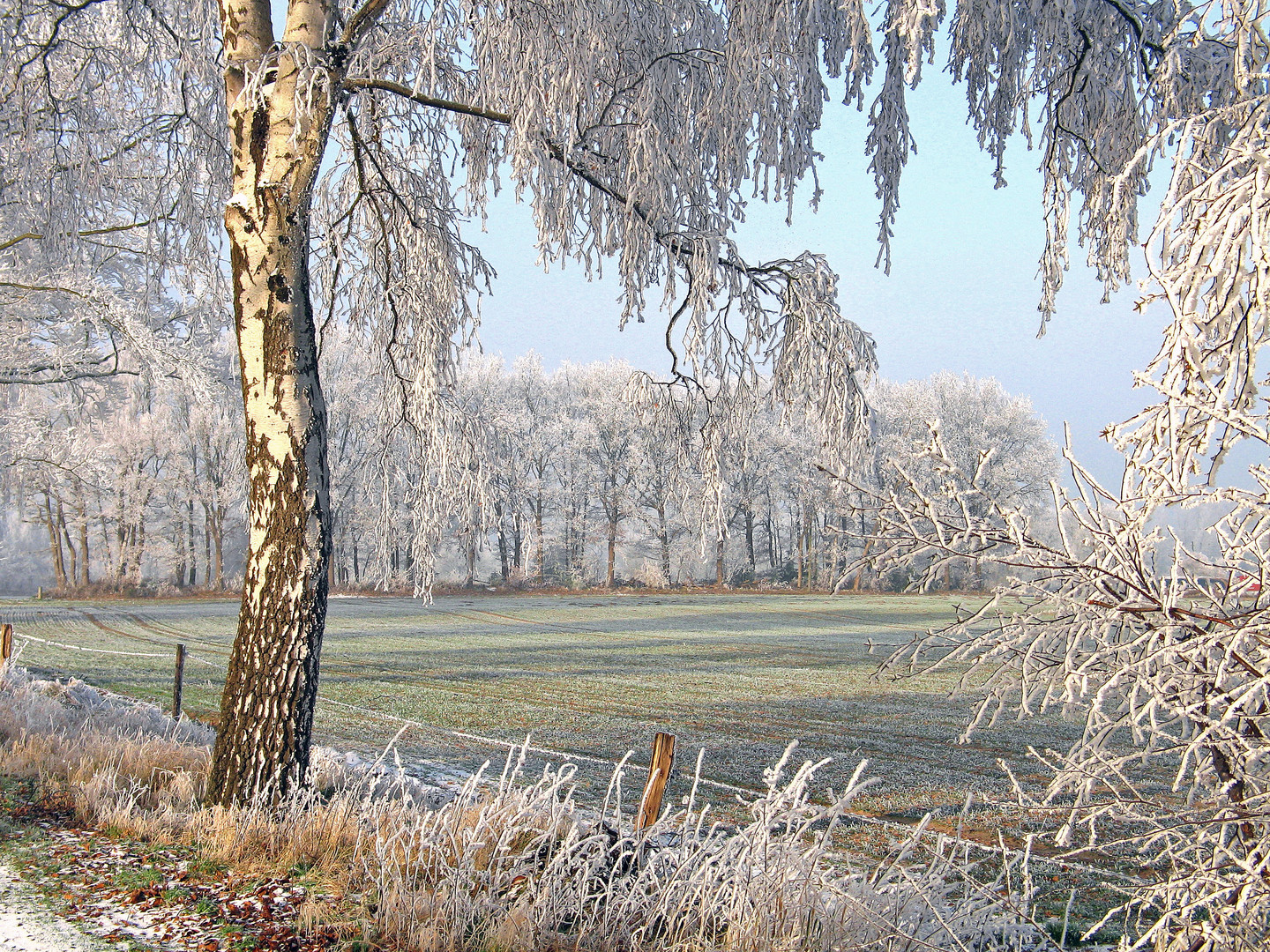 Winterlandschaft...................