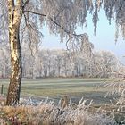 Winterlandschaft...................