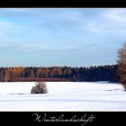 Winterlandschaft