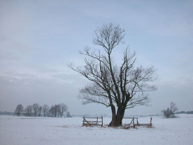 Winterlandschaft