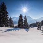 Winterlandschaft