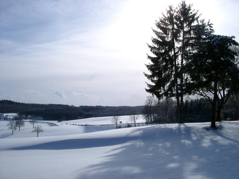 Winterlandschaft