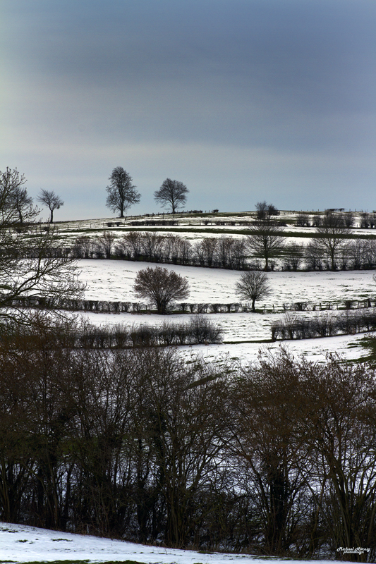 Winterlandschaft